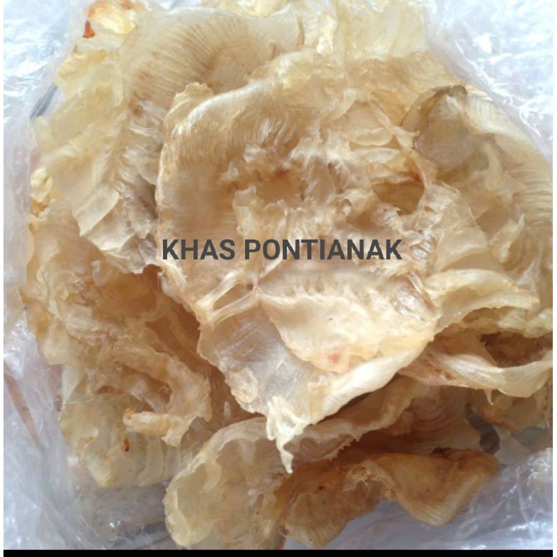 

HEPHIO/ HIPIO/ GELEMBUS (BESAR/MENTAH)