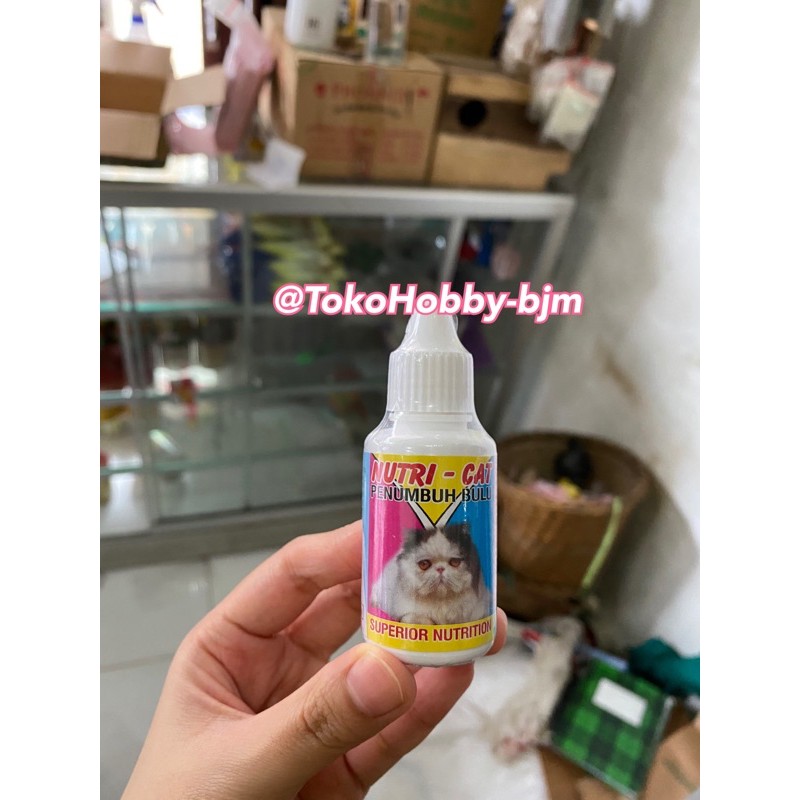 nutri cat - penumbuh bulu kucing nutri-cat kucing obat bulu kucing pitak botak