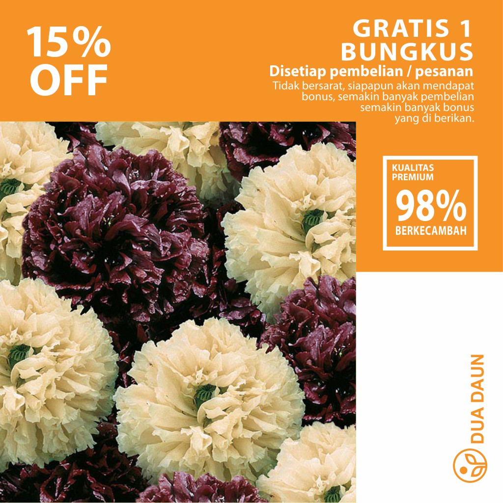 5 Benih Biji Bunga Poppy Irish Velvet Mr Fothergills