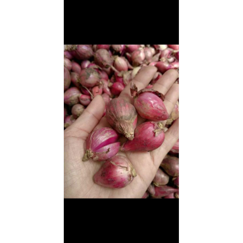 

bawang merah brebes asli 1kg