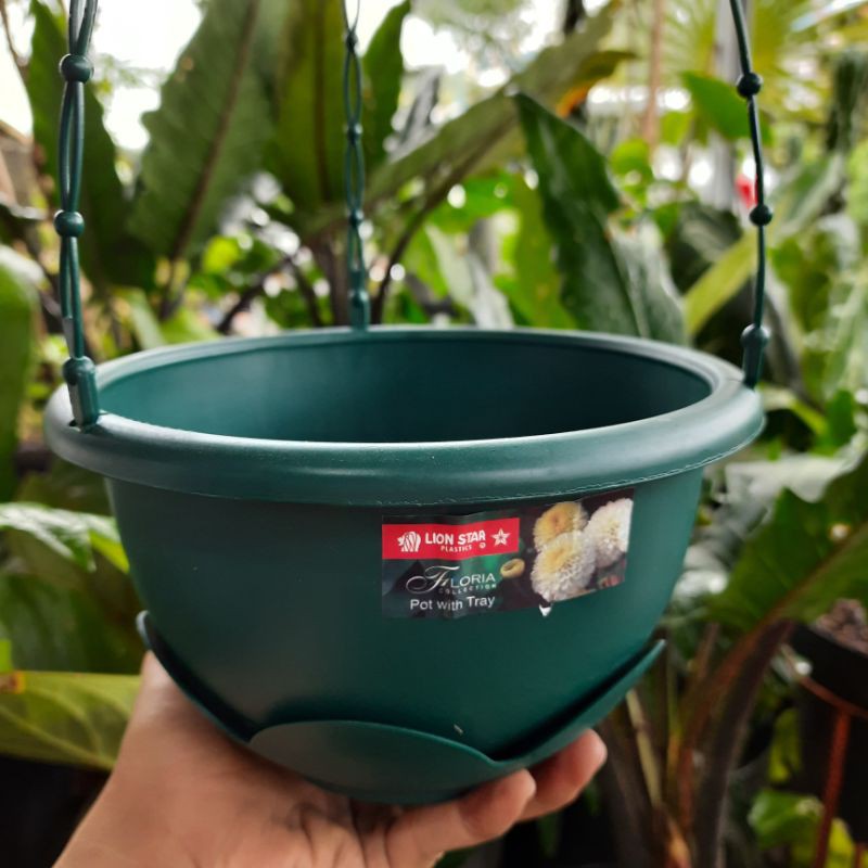 Pot Gantung Lion Star Clover Flower #6 Hijau / Pot Bunga