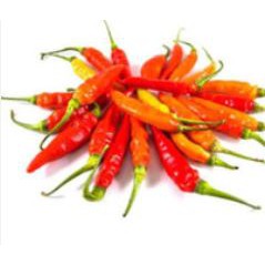 

Cabe Rawit Merah 100Gr