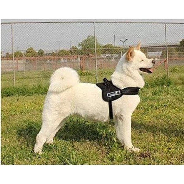 SABUK ROMPI PELIHARAAN ROMPI ANJING SPORTY DOG HARNESS SET BAHAN NYAMAN ORIGINAL IMPORT VA335