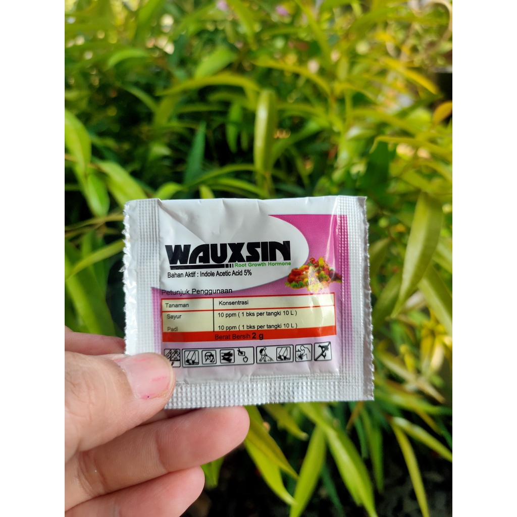 Hormon ZPT Akar WAUXIN 2 Gram