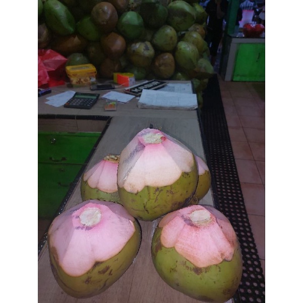 

KELAPA IJO UKURAN SEDANG