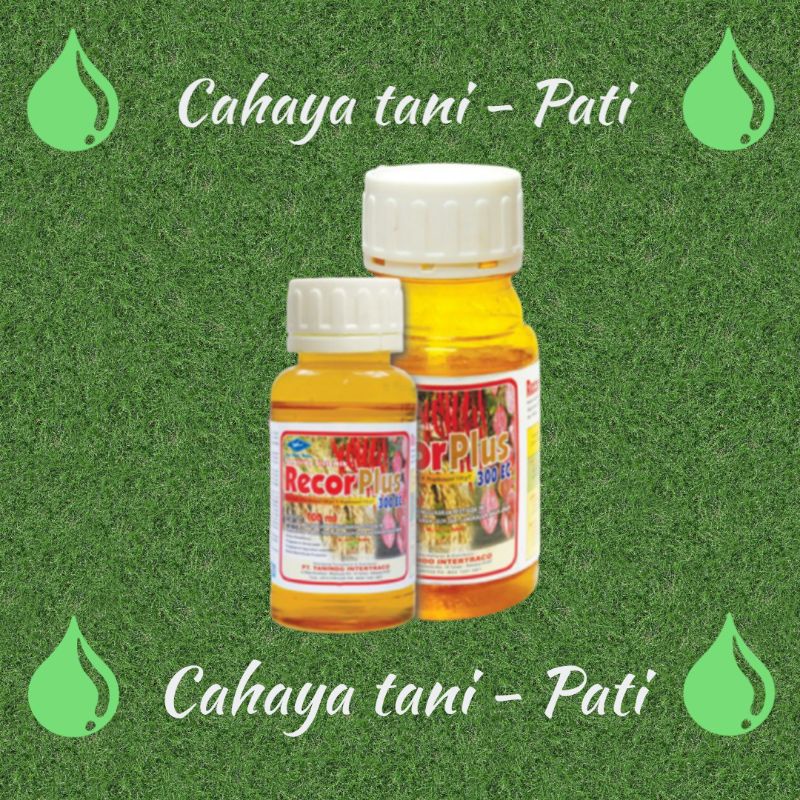 Fungisida Recor plus 300EC