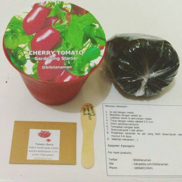 

Bibit/Benih Tomat Cherry