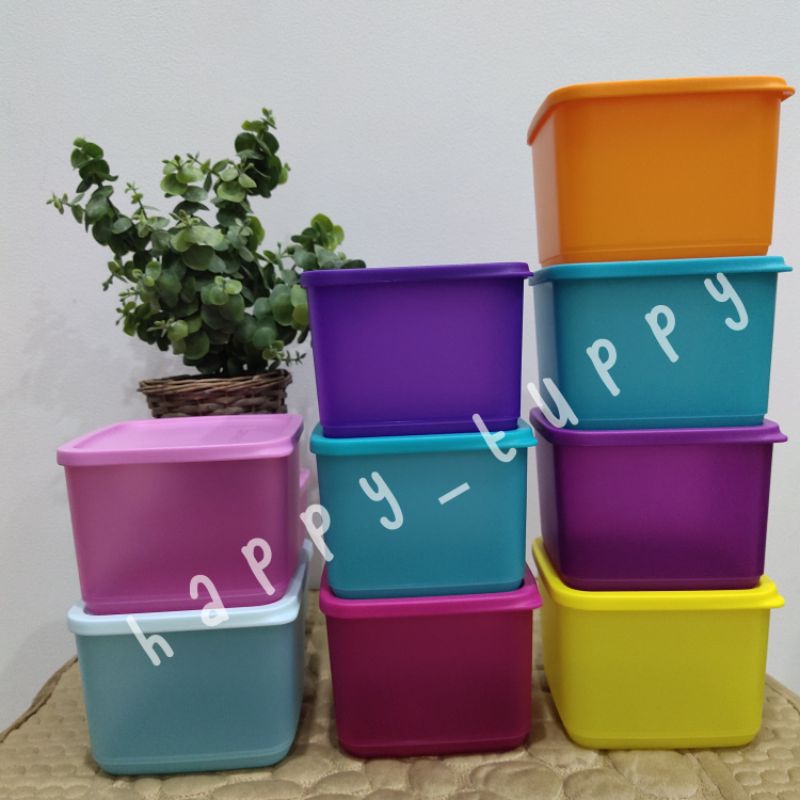 Medium Summer Tupperware