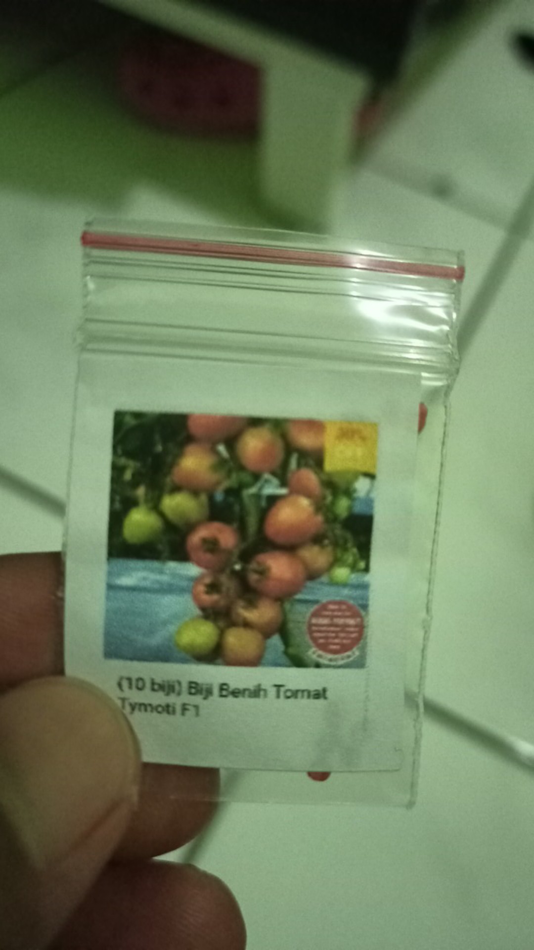 Biji Benih Tomat Tymoti F1