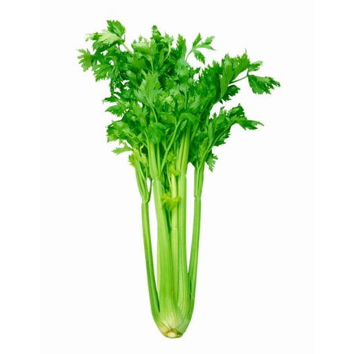 

SELEDRI STICK ORGANIK QV 500GR