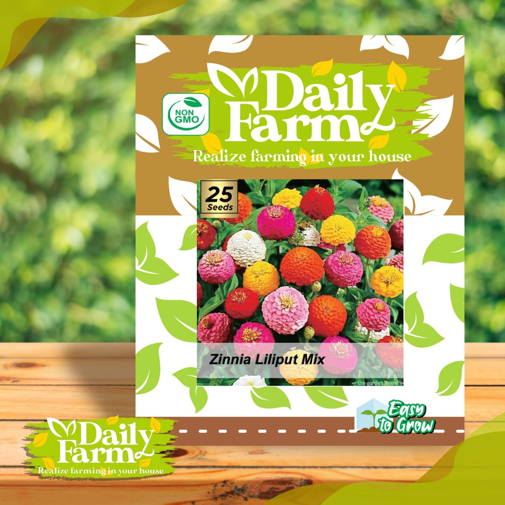Benih - Bibit Bunga Zinnia Liliput Mixed - Daily Farm
