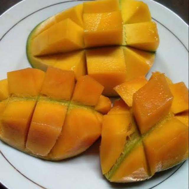 Bibit Tanaman Buah mangga anggur kondisi lebat