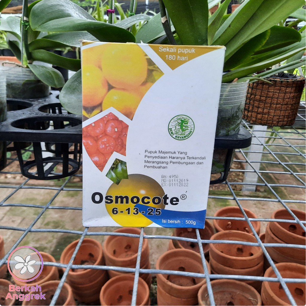 Jual Osmocote Dekastar 6 13 25 500 Gram Pupuk Pertumbuhan Bunga Dan