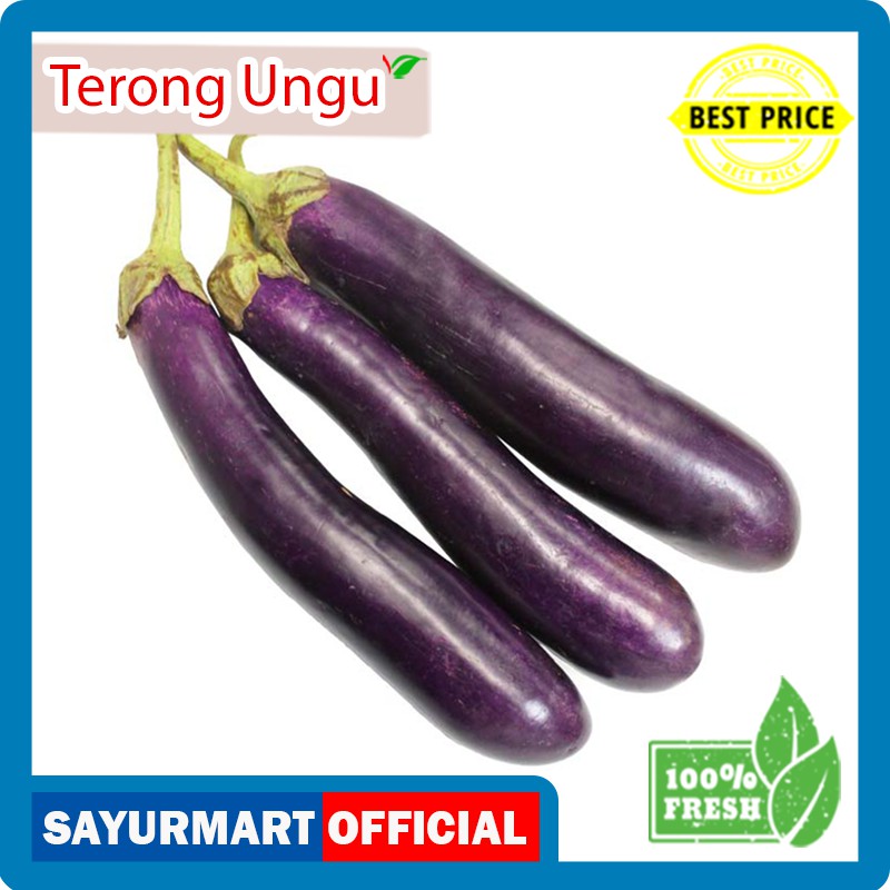 

Terong Ungu Panjang [1 pcs]