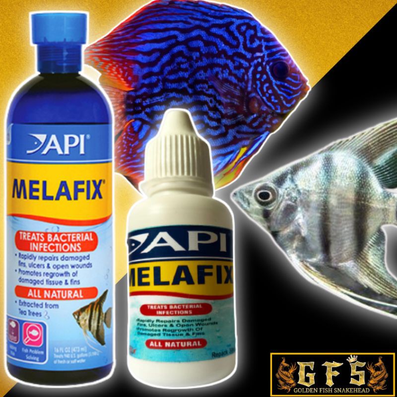 API MELAFIX Obat ikan hias 30ml