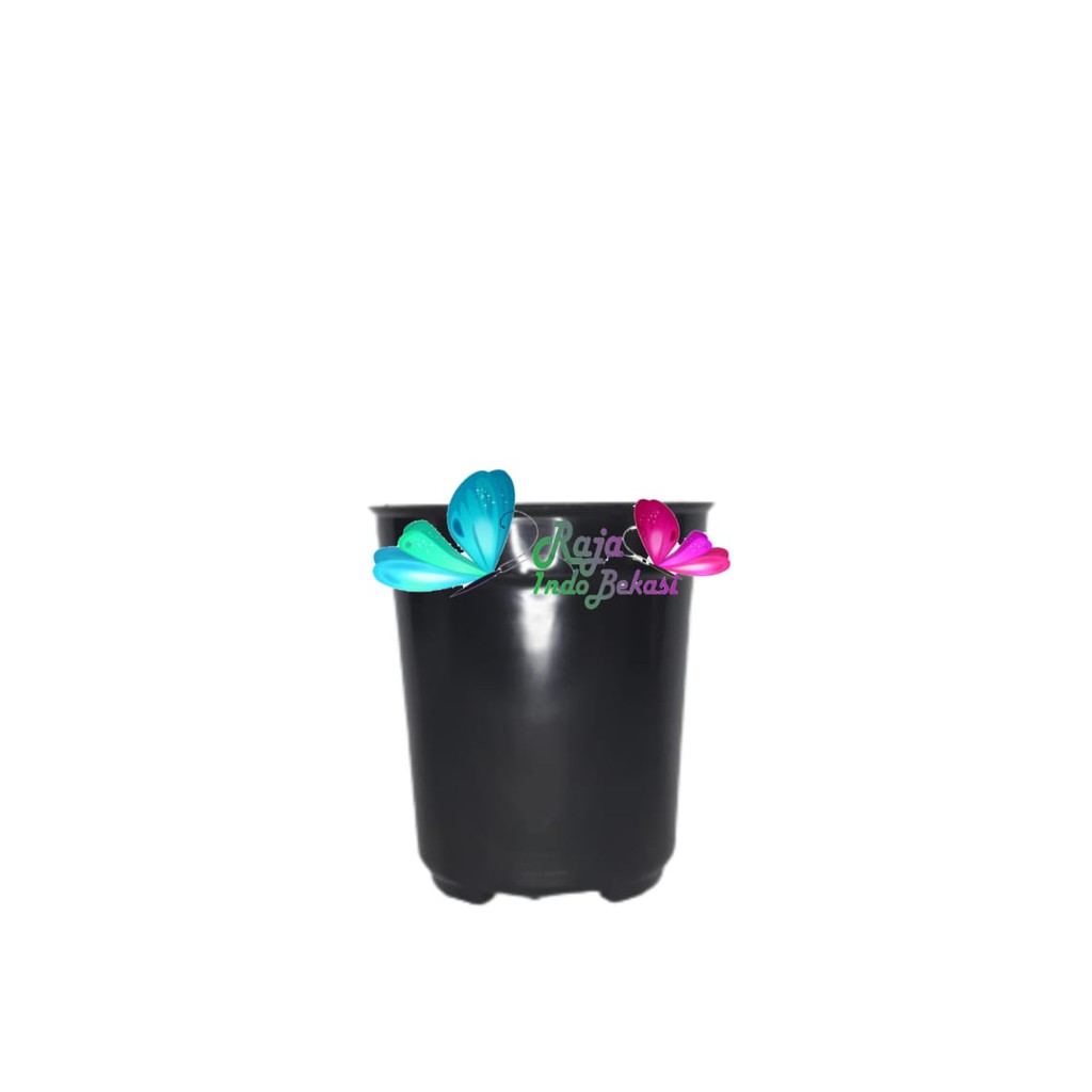 Pot Usa Eiffel 20 Warna Warni Da 17 Cm - Pot Bunga Tinggi Hias Ukuran Mirip Pot Tawon Pirus 18 21