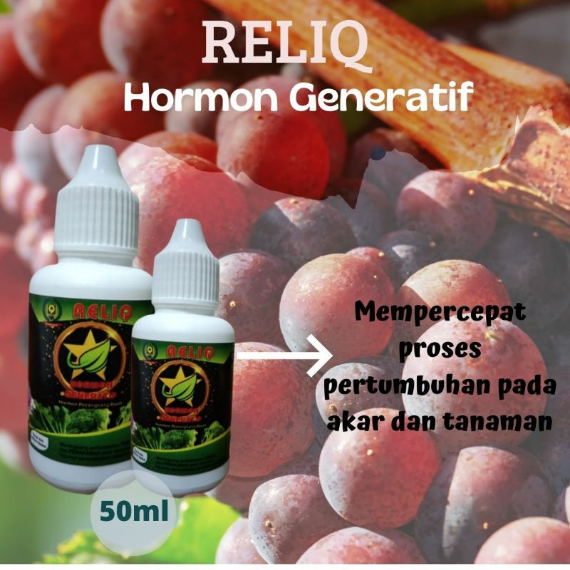 Hormon Perangsang Bunga Dan Buah, Ga3 Hormon Pembesar Buah Anggur