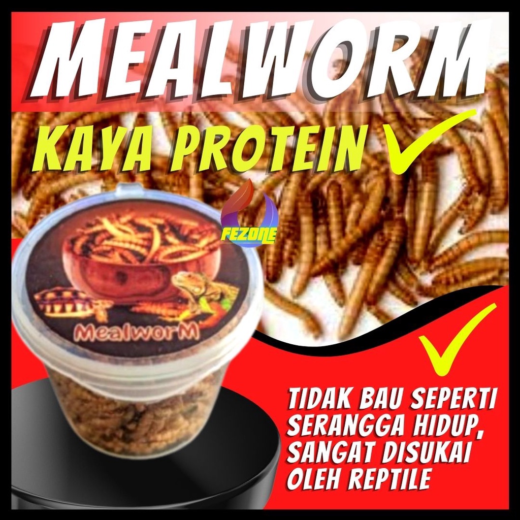 Makanan Reptil Seafood Protein Tinggi Untuk Kura Kura - Mealworm FEZONE