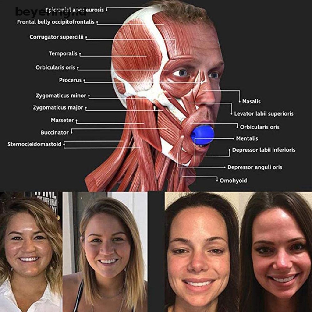 Beyen Bola Latihan Rahang Leher / Wajah Untuk Fitness