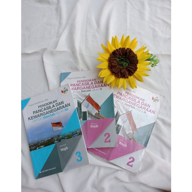 

Buku PPKn SMA/MA Kelas XI dan XII Penerbit Erlangga K13 Revisi ( Second )