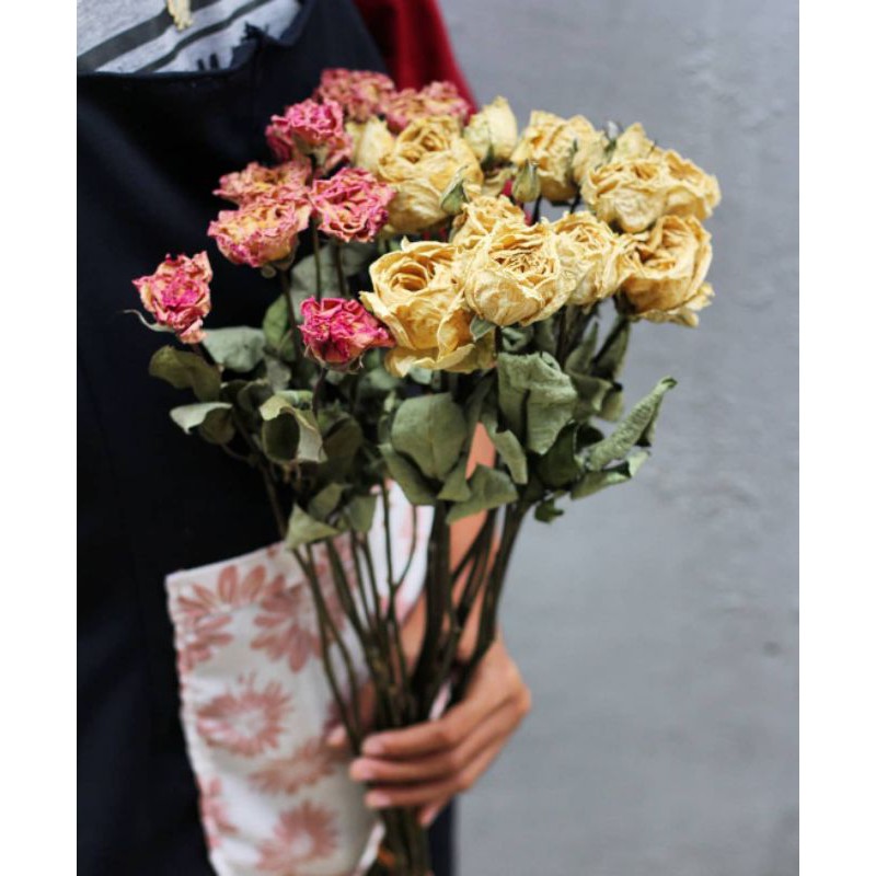 Bunga Mawar Rose Kering Dekorasi Craft Mahar Buket Bunga Bunga Mawar Rose Kering Dekorasi Craft Mahar Buket Bunga