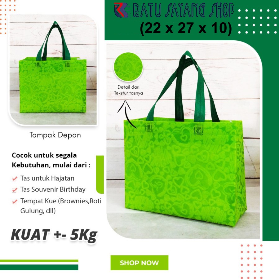 

TAS SPUNBOND SOUVENIR| TAS PERNIKAHAN TEXSTUR MODEL SEMINAR (22X27X10)