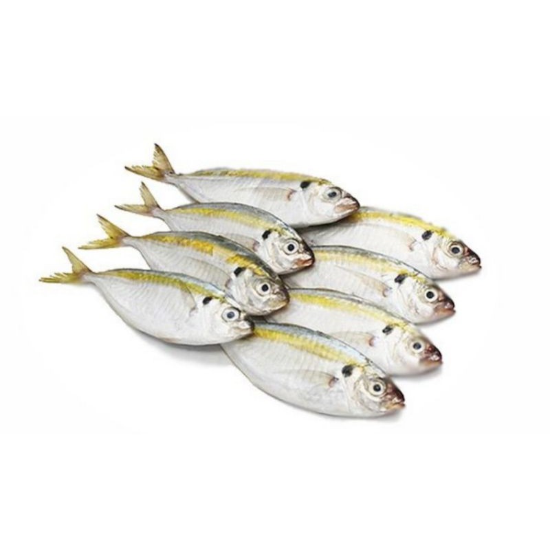 

Ikan Selar 1Kg