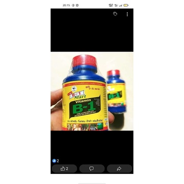 Vitamin Akar B1 Thailand