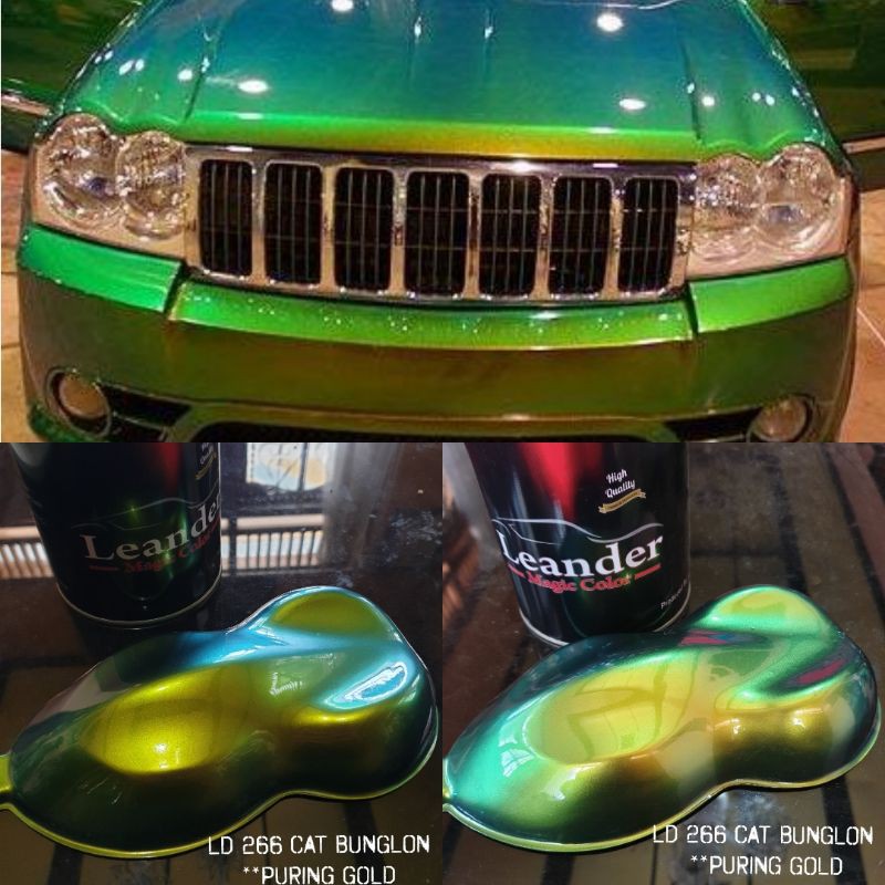 Cat bunglon chameleon Puring Gold Leander