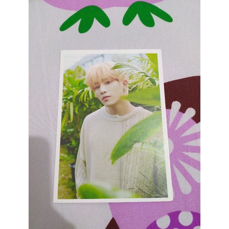 Postcard Album Astro All Light