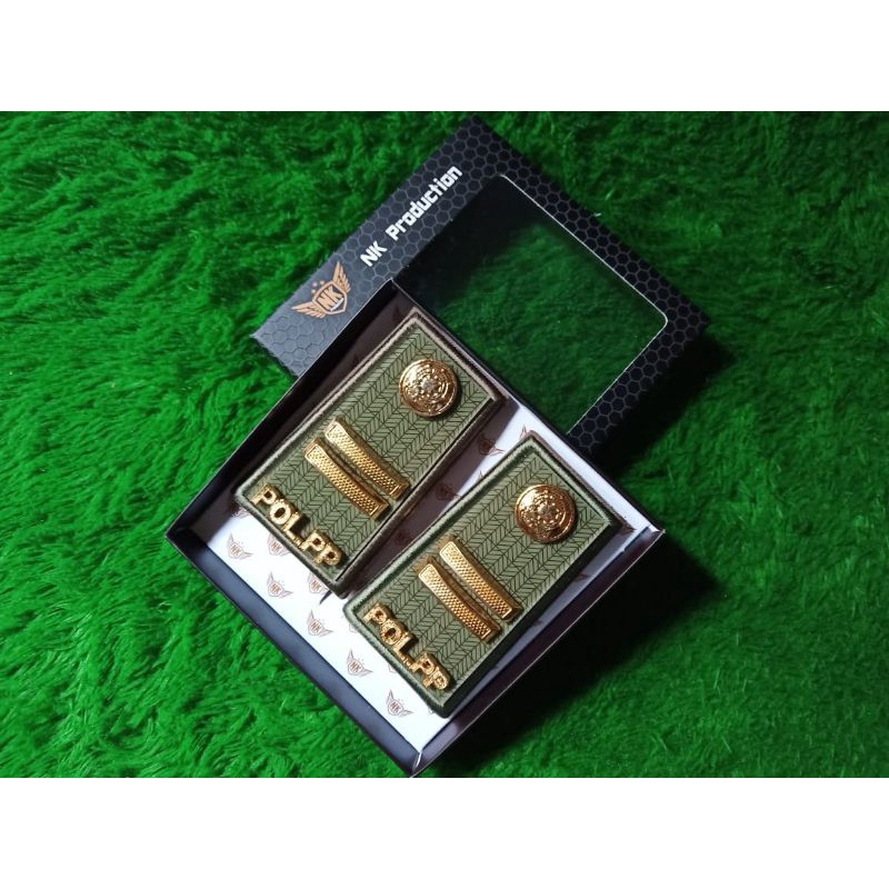 pangkat pdh pol PP gol 3b