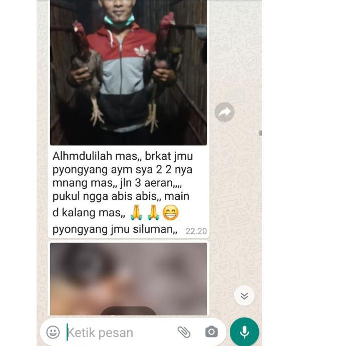 (TERBARU) JAMU AYAM ADUAN TERBAIK, DOPING AYAM ADUAN, JAMU PYONGYANG |Stock terbaru|Termurah|Disk