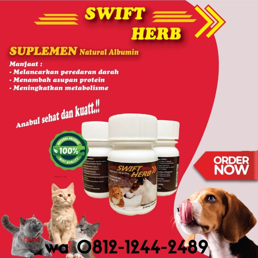 vitamin kucing yang bagus
