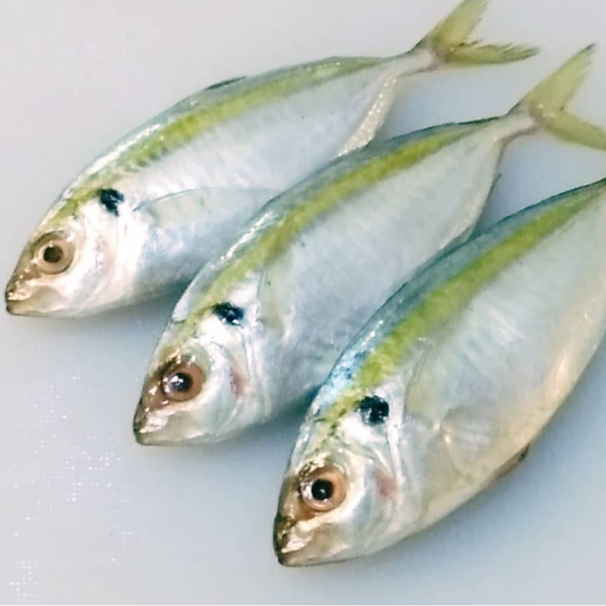 

Ikan selar 1Kg