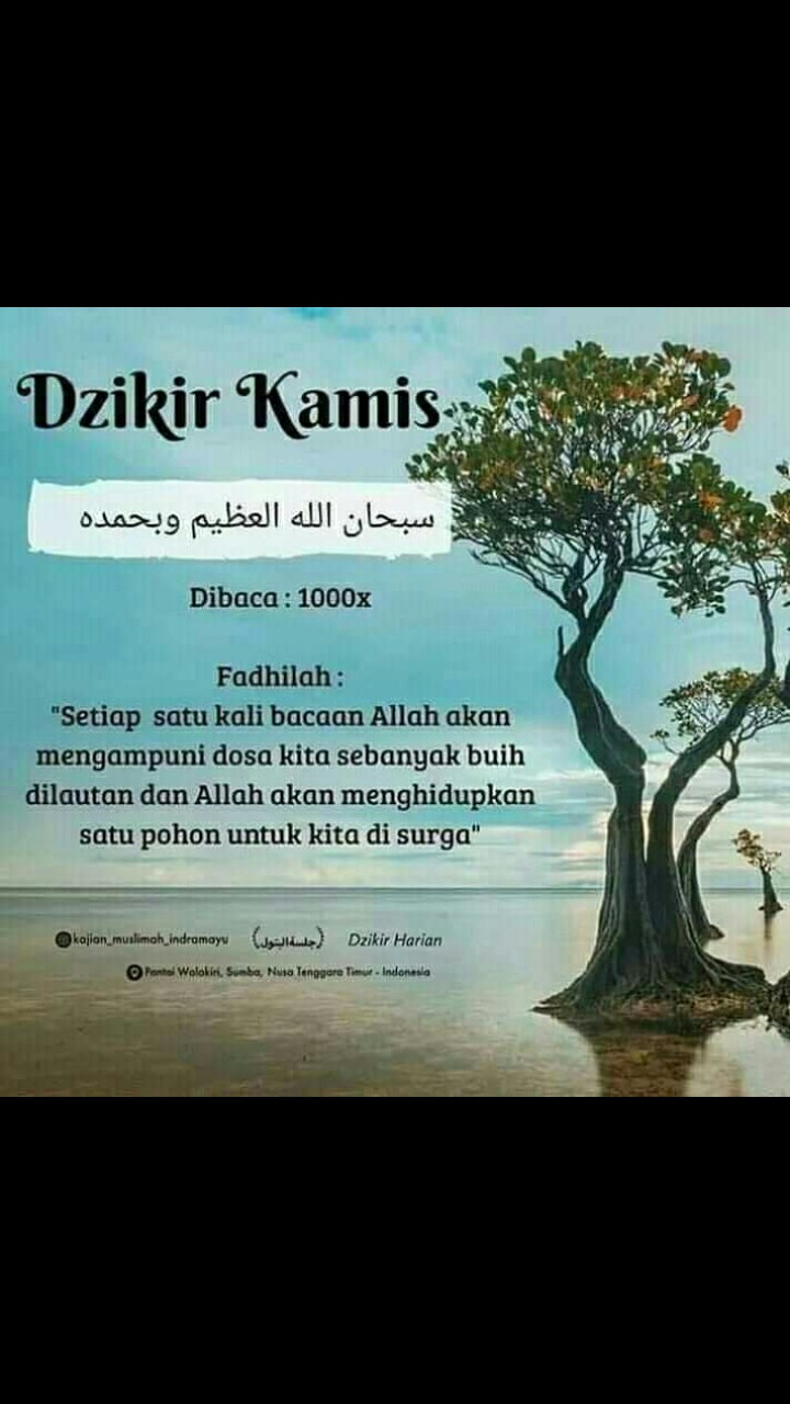 Folding Hanger 30 Stik | Lionstar