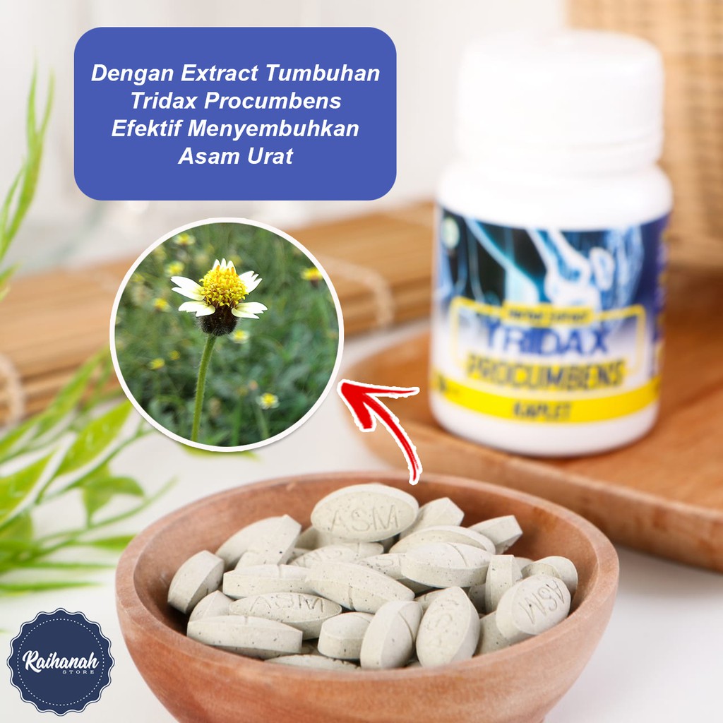 Tridax Procumbens Kaplet Untuk Asam Urat Pegal Linu Dan Encok Shopee Indonesia