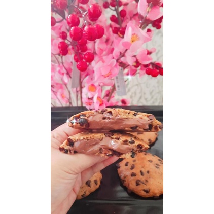 

soft cookie doughlab lumer premium