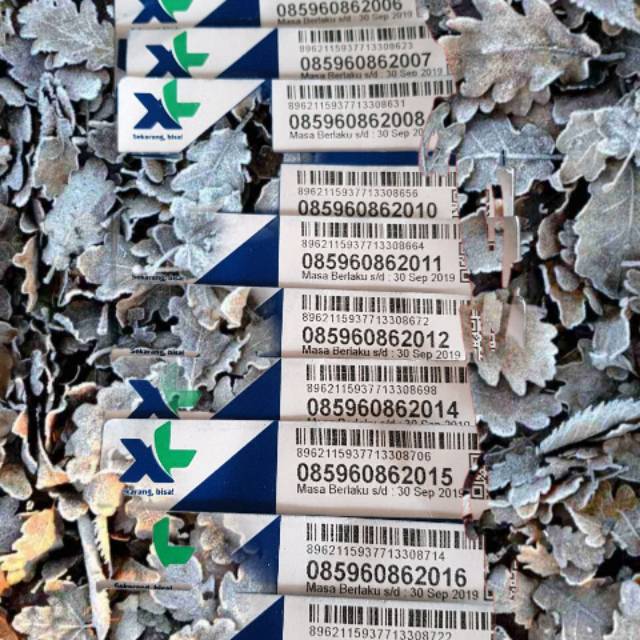 NOMER CANTIK Xl SERI TAHUN