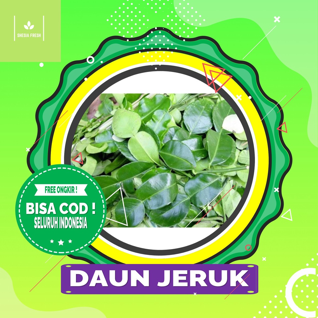 

Shesia Fresh - Daun Jeruk Organik Per Pack