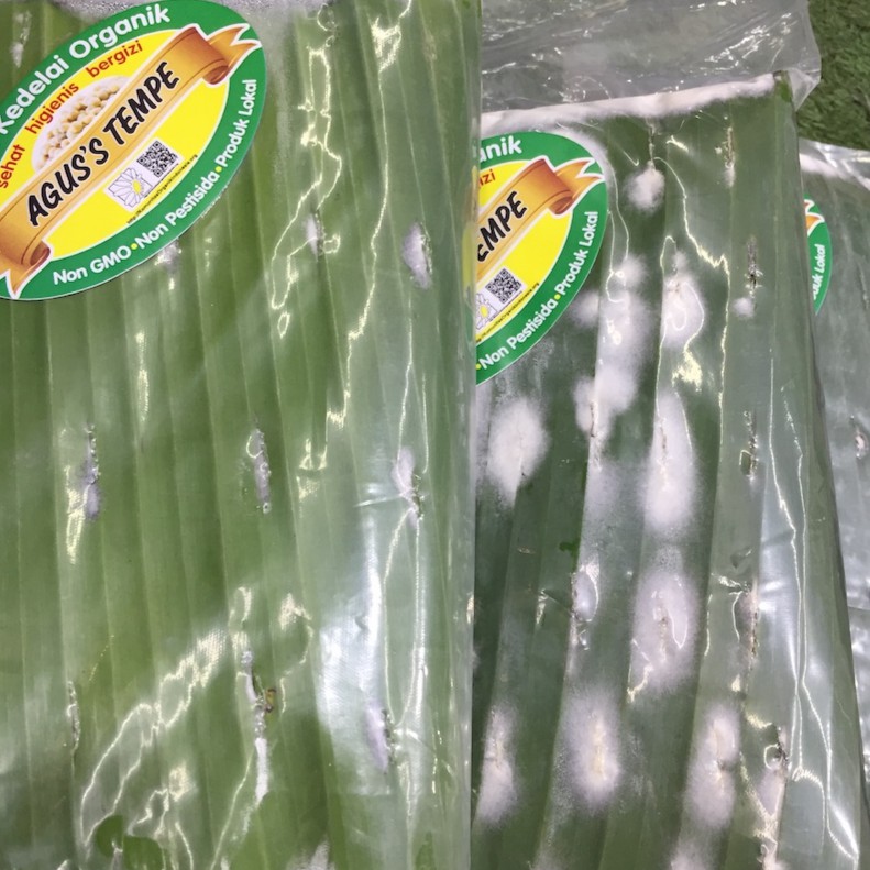 

RB Tempe Kedelai Organik Agus Tempe 300g /Organic Tempeh 300g