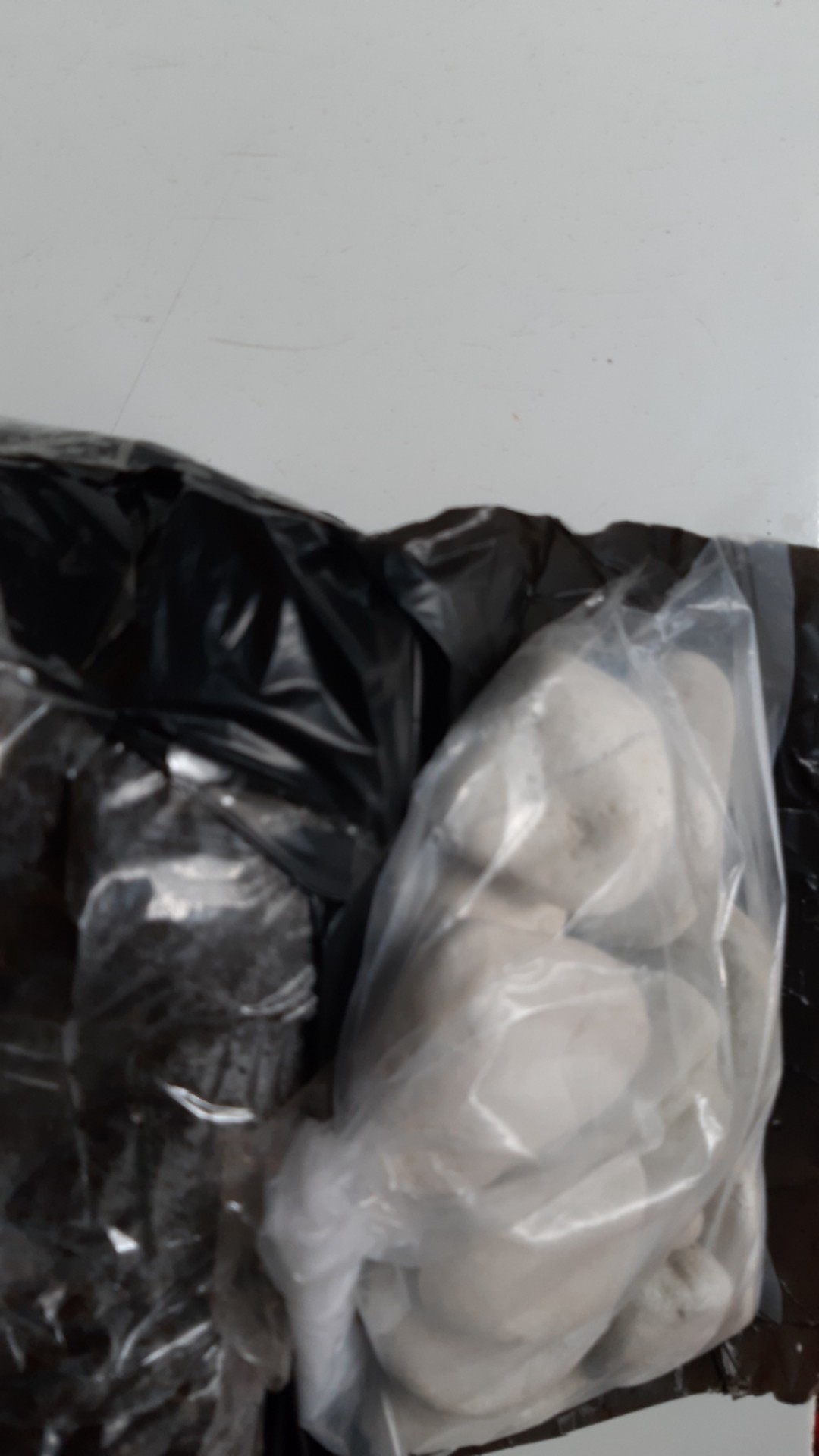 Batu Koral Putih Kupang