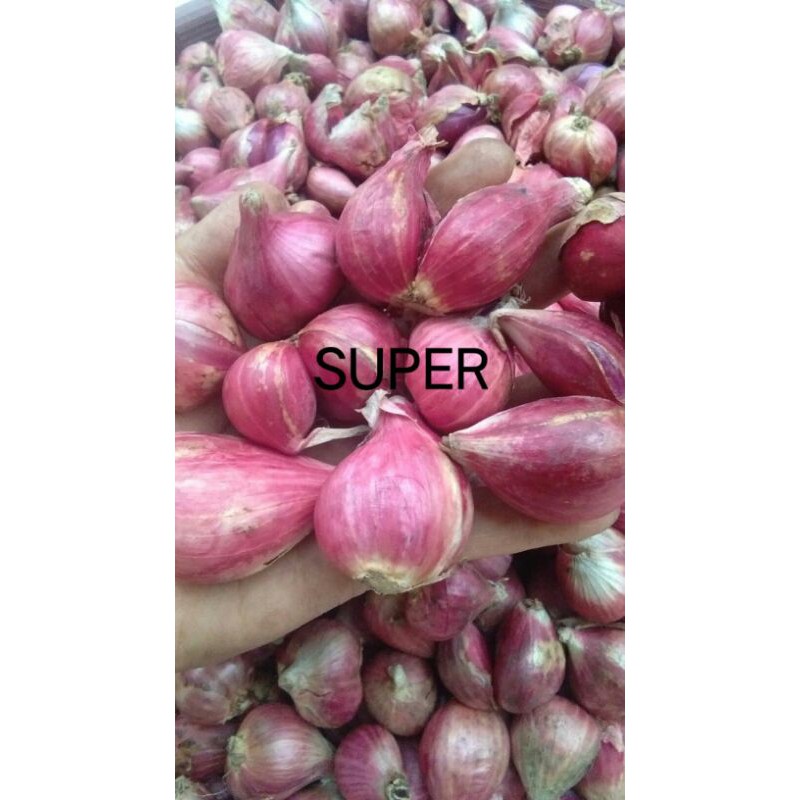 

Bawang merah SUPER 1 kg