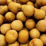 

Kelengkeng