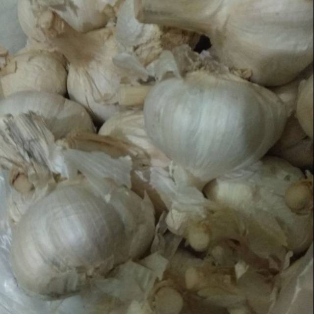 

PROMO !! Bawang putih kating 1 kg kurang