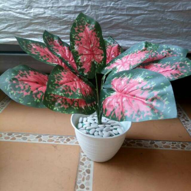 Artificial tanaman agronema dengan vas tawon+batu alam