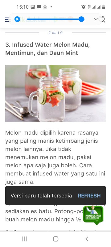 Home-klik  Tritan Water Bottle With Fruit Infuser - Random