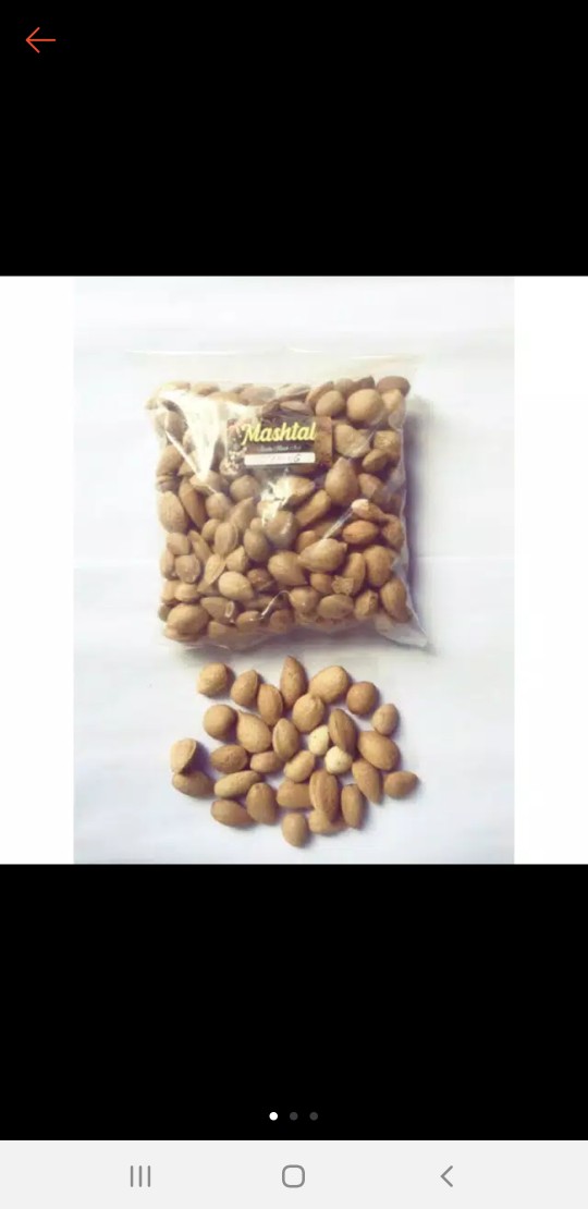 Buah Ketapang Yang Belum Dikupas 250 Gr