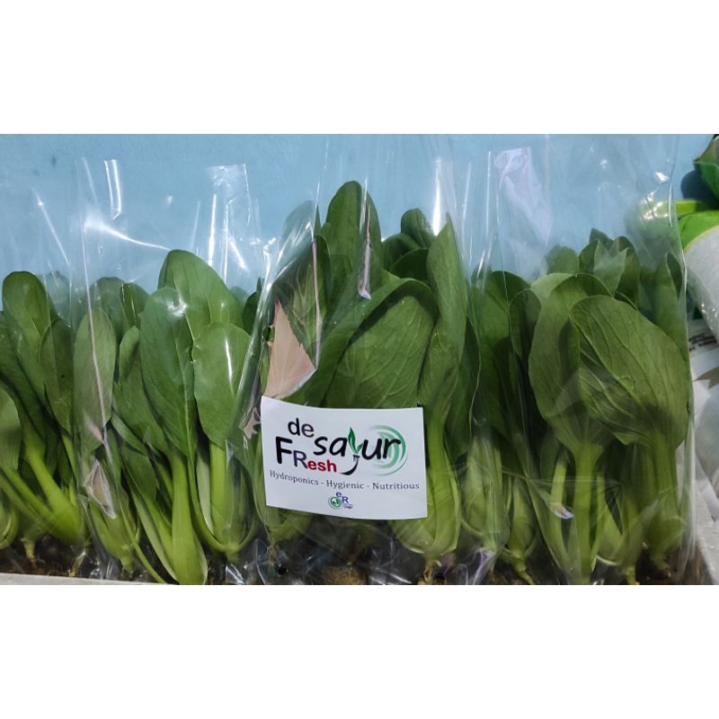

sayur pakcoy / pakchoi bhokcoi hidroponik