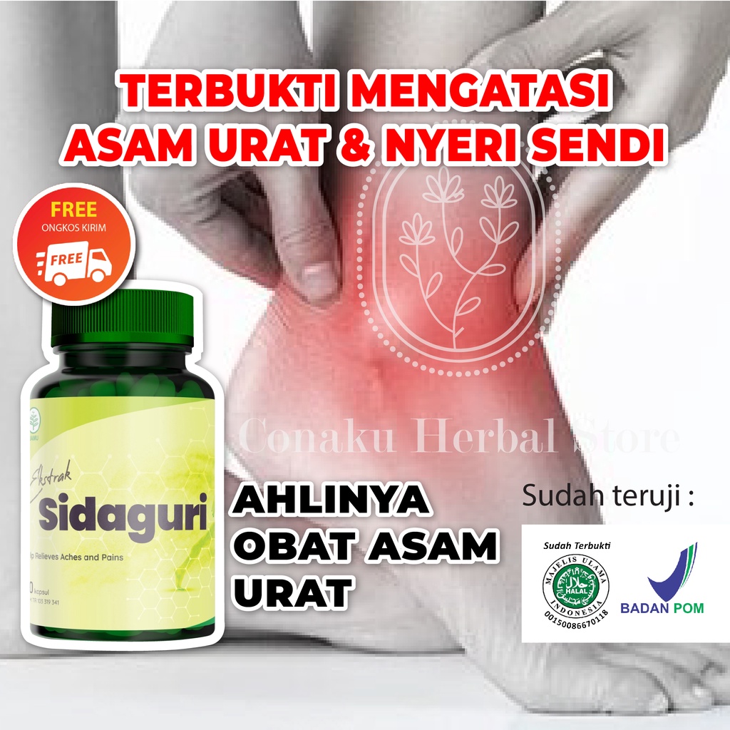 

Sidaguri Obat Herbal ASLI 100% Ampuh Atasi Asam Urat Nyeri Sendi