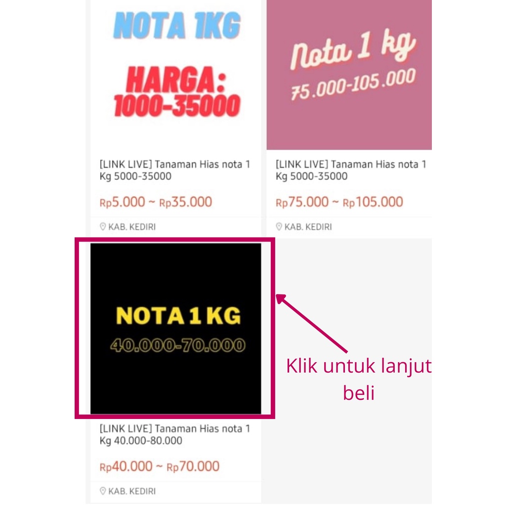 [LINK LIVE] Tanaman Hias nota 2 Kg 20.000 - 125.000